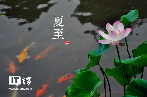 happy777娛樂：今日夏至：盛夏，如約而至
